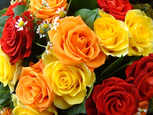 834345 (a): :2200x1650